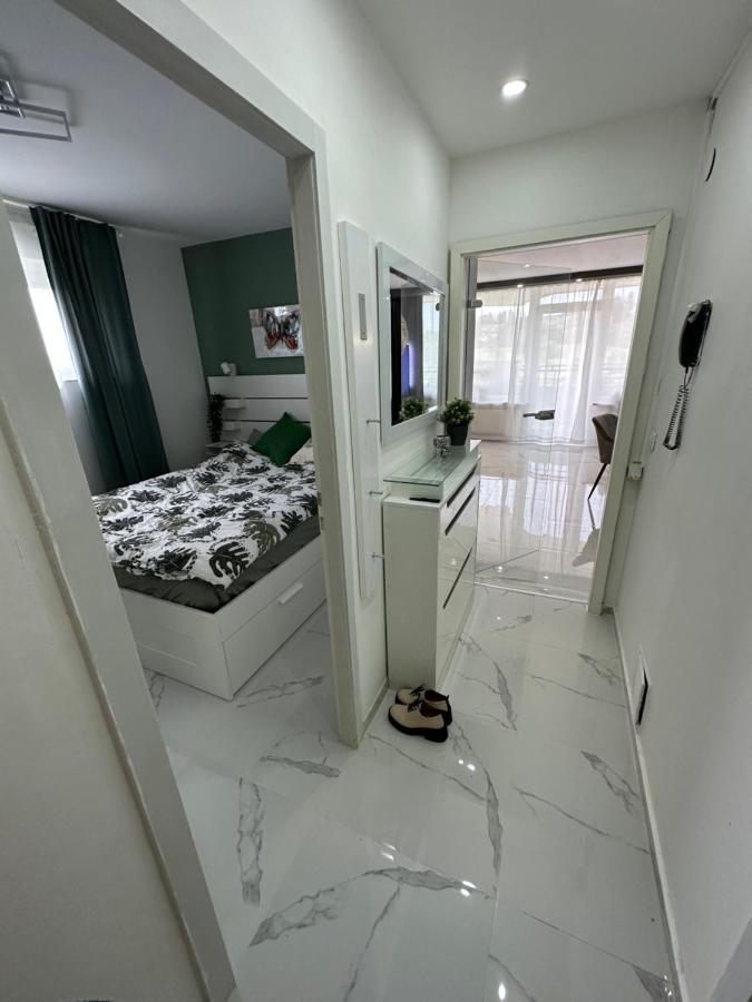 Ferienwohnung 479 Mit Schwimmbad,Sauna Und Bar In Panoramic Hohegeiss Braunlage Exteriör bild