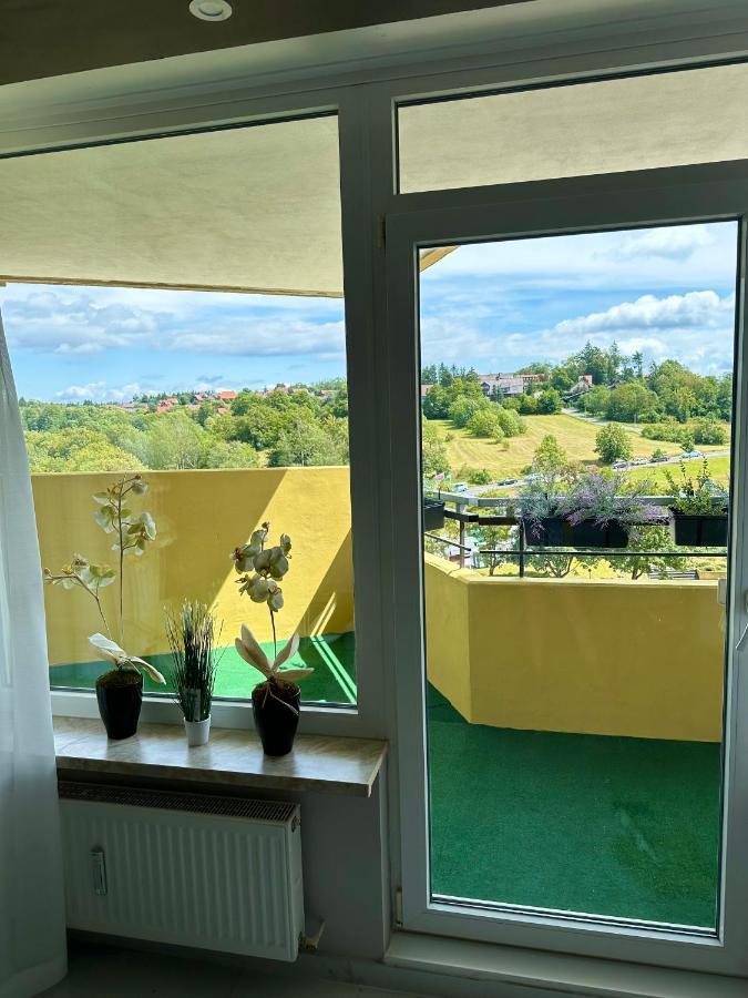 Ferienwohnung 479 Mit Schwimmbad,Sauna Und Bar In Panoramic Hohegeiss Braunlage Exteriör bild