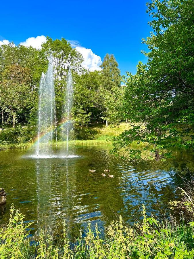 Ferienwohnung 479 Mit Schwimmbad,Sauna Und Bar In Panoramic Hohegeiss Braunlage Exteriör bild